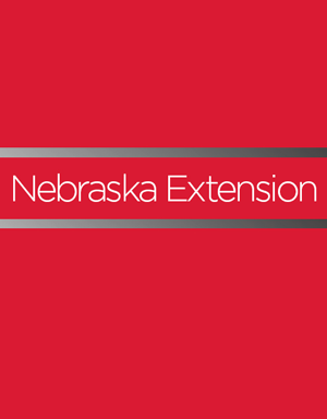 Nebraska Farm and Ranch Business Record for Income Tax and Analysis